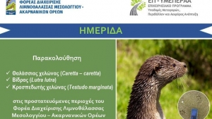 Ημερίδα για την παρακολούθηση χελώνας Caretta-Caretta, βίδρας και κρασπεδωτής χελώνας στο Αιτωλικό (Τετ 13/10/2021 18:00)