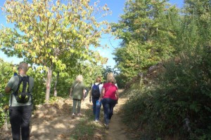 Άνω Κεράσοβο Μακρυνείας: Ο «δρόμος του καστάνου» (Κυρ 12/10/2025 11:00 πμ)