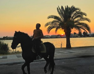 Αιτωλικό: Επίδειξη δεξιοτεχνίας αλόγων (Σ/Κ 16-17/8/2025 20:00)