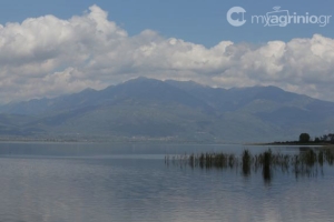 Ναυτικός Όμιλος Τριχωνίδας: Αγώνες – Παρουσίαση του Ολυμπιακού Κανόε Καγιάκ (Κυρ 19/12/2021 11:00)