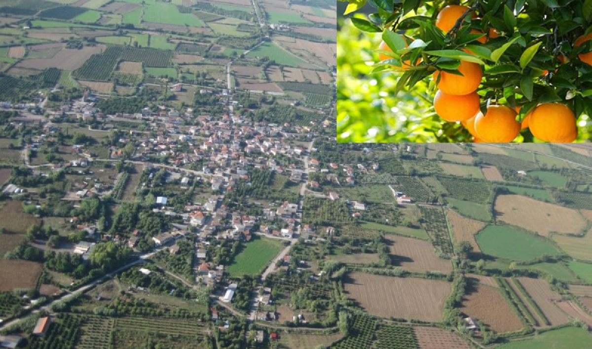 «2ο Φεστιβάλ Πορτοκαλιού» στα Καλύβια Αγρινίου (Εκδηλώσεις: Παρ 18 - Κυρ 20/11/2022 - Έκθεση εως Τετ 7/12/2022)