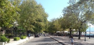 Δήμος Ναυπακτίας: Ενημερωτική εκδήλωση για το μεταχρωματικό έλκος των πλατάνων και το σχέδιο αντικατάστασης (Τετ 13/11/2024 19:00)