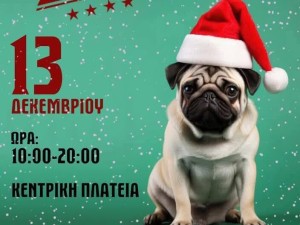 Αγρίνιο: Bazaar της Φιλοζωικής Αγρινίου το Σάββατο στο κέντρο της πόλης – Βοηθήστε τα αδέσποτα (Σαβ 13/12/2025 10:00-20:00)