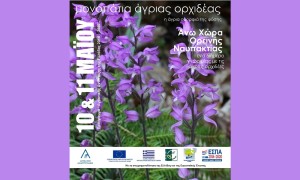 Περιήγηση στα Μονοπάτια της Άγριας Ορχιδέας! Διήμερο περιήγησης και γνωριμίας με τις άγριες ορχιδέες της Ορεινής  Ναυπακτίας (Σ/Κ 10-11/5/2025)