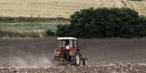 Καλεί σε σύσκεψη ο Αγροτικός Σύλλογος Καινούργιου- Ποια θέματα θα συζητηθούν (Τετ 23/10/2024 19:30)