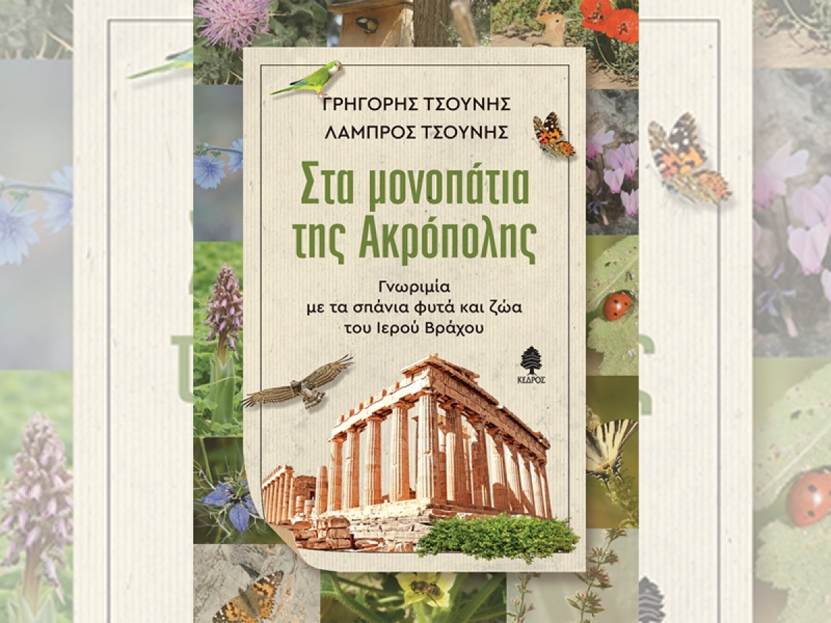 ***ΑΝΑΒΛΗΘΗΚΕ*** Αγρίνιο: Παρουσίαση του βιβλίου - «Στα μονοπάτια της Ακρόπολης» (Πεμ 28/4/2022 19:30)